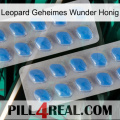 Leopard Secret Miracle Honey 23
